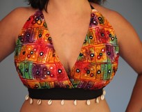 Choli Tops