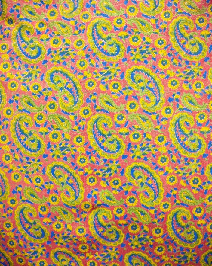 Bold Paisley Tapestry 250-03