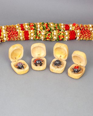 Wholesale Assorted Wood Bug Box from India Arts