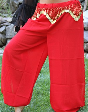 Chiffon Harem Pants With Beads And Coins